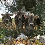 Casa Farfaglia Séjour à la campagne Noto