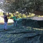 Séjour à la campagne Casa Farfaglia *