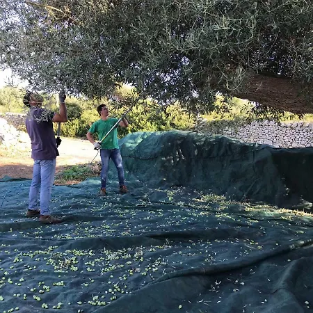 Kır Evi Casa Farfaglia *