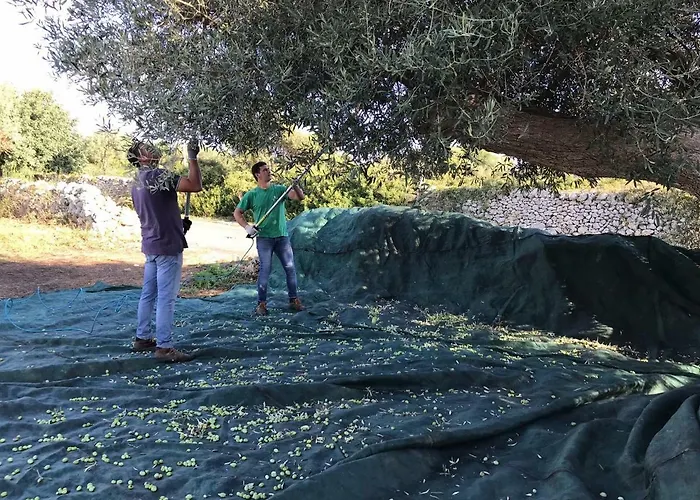 בית כפרי Casa Farfaglia *
